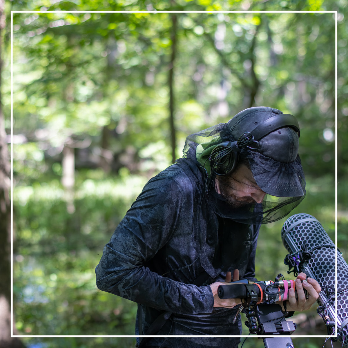 mike with a bug net over his head and face looking down at a field recorder and microphone