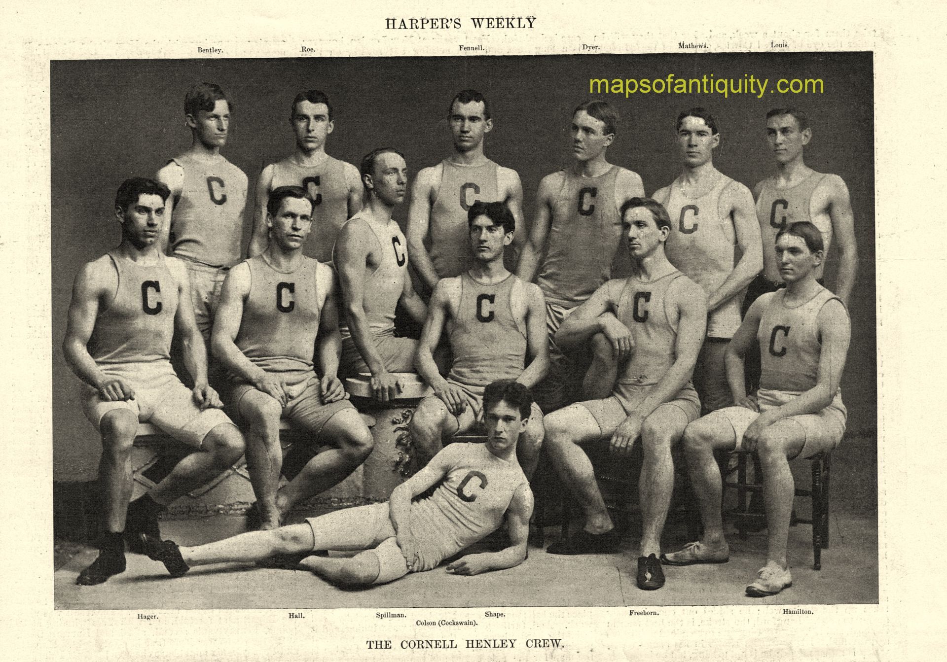 1895 - The Cornell Henley Crew - Antique Print