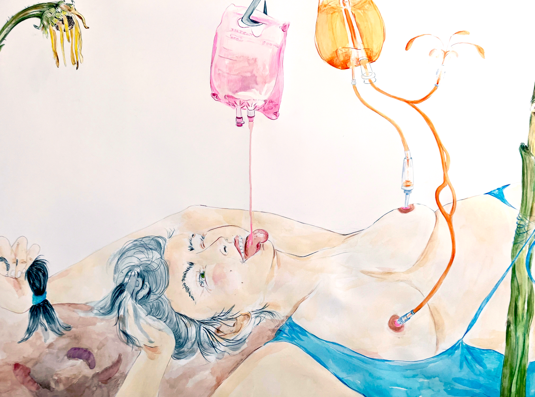 A watercolour drawing by Sarah Mihara Creagen