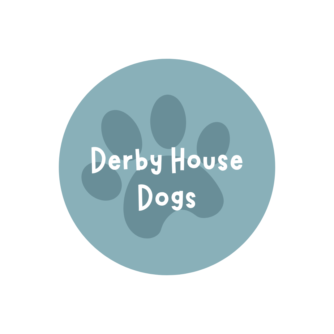 DHD Logo