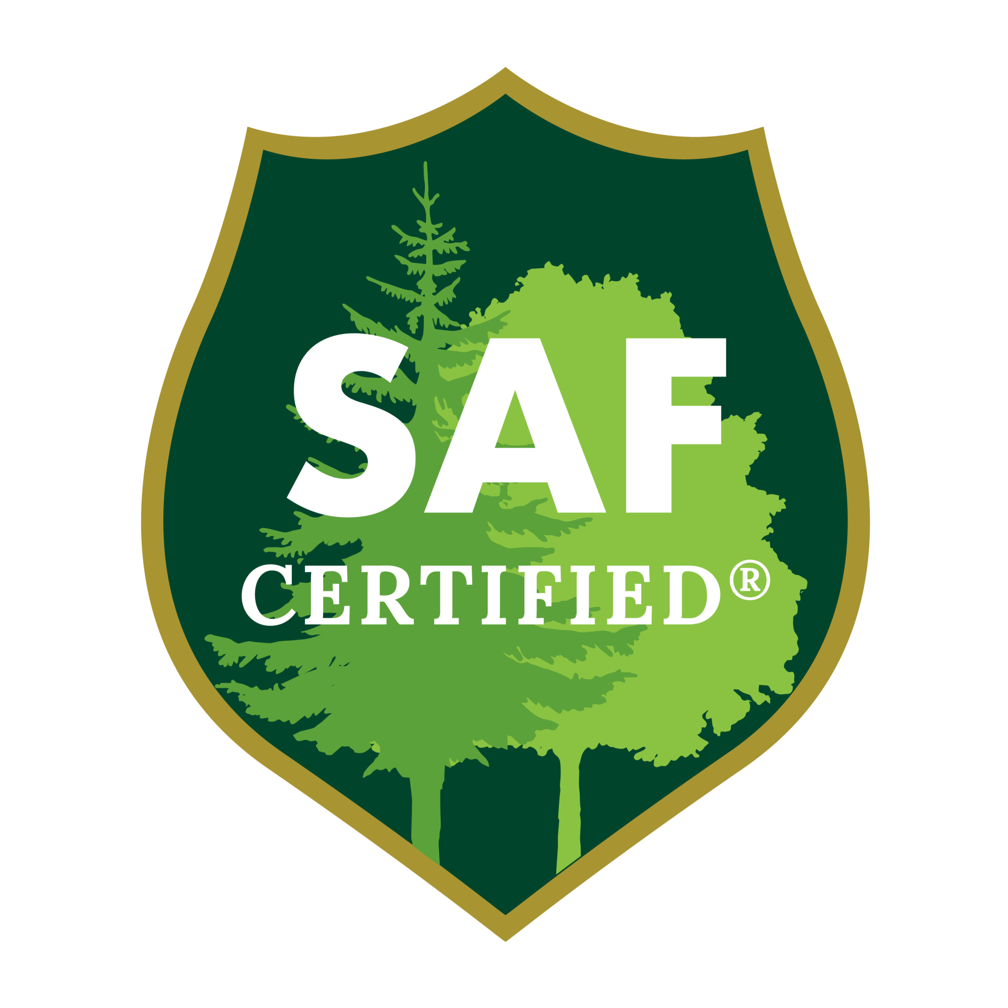 Pictured: SAF Certification Badge