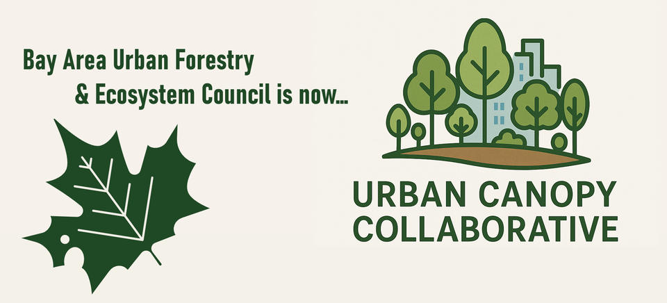 Bay Area Urban Forestry & Ecosystem Council is now Urban Canopy Collaborative