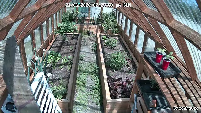 Greenhouse view 2026-06-21