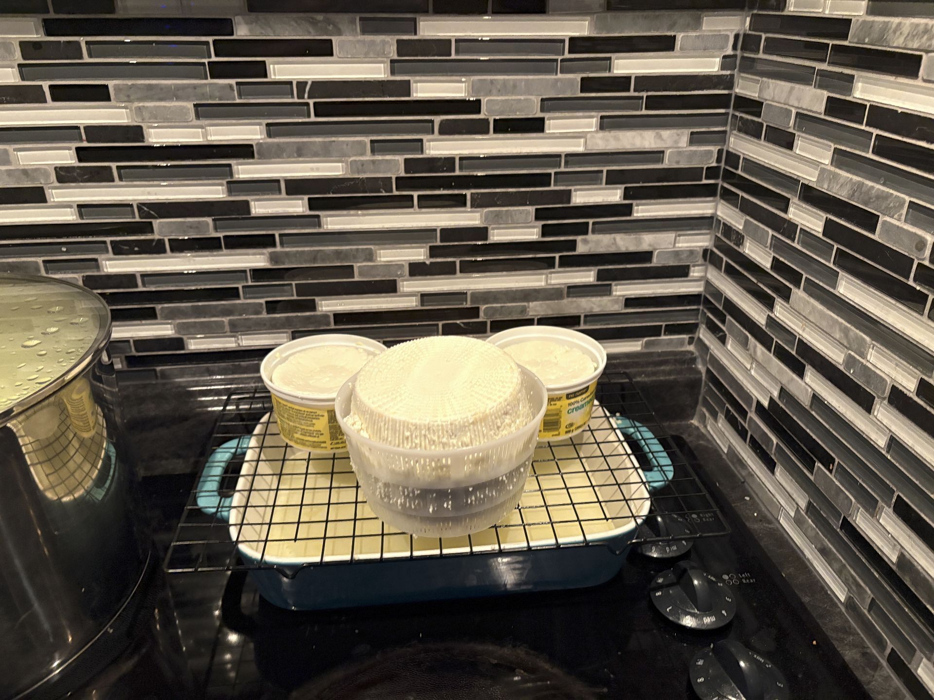 Three fresh goat cheeses on a draining rack
