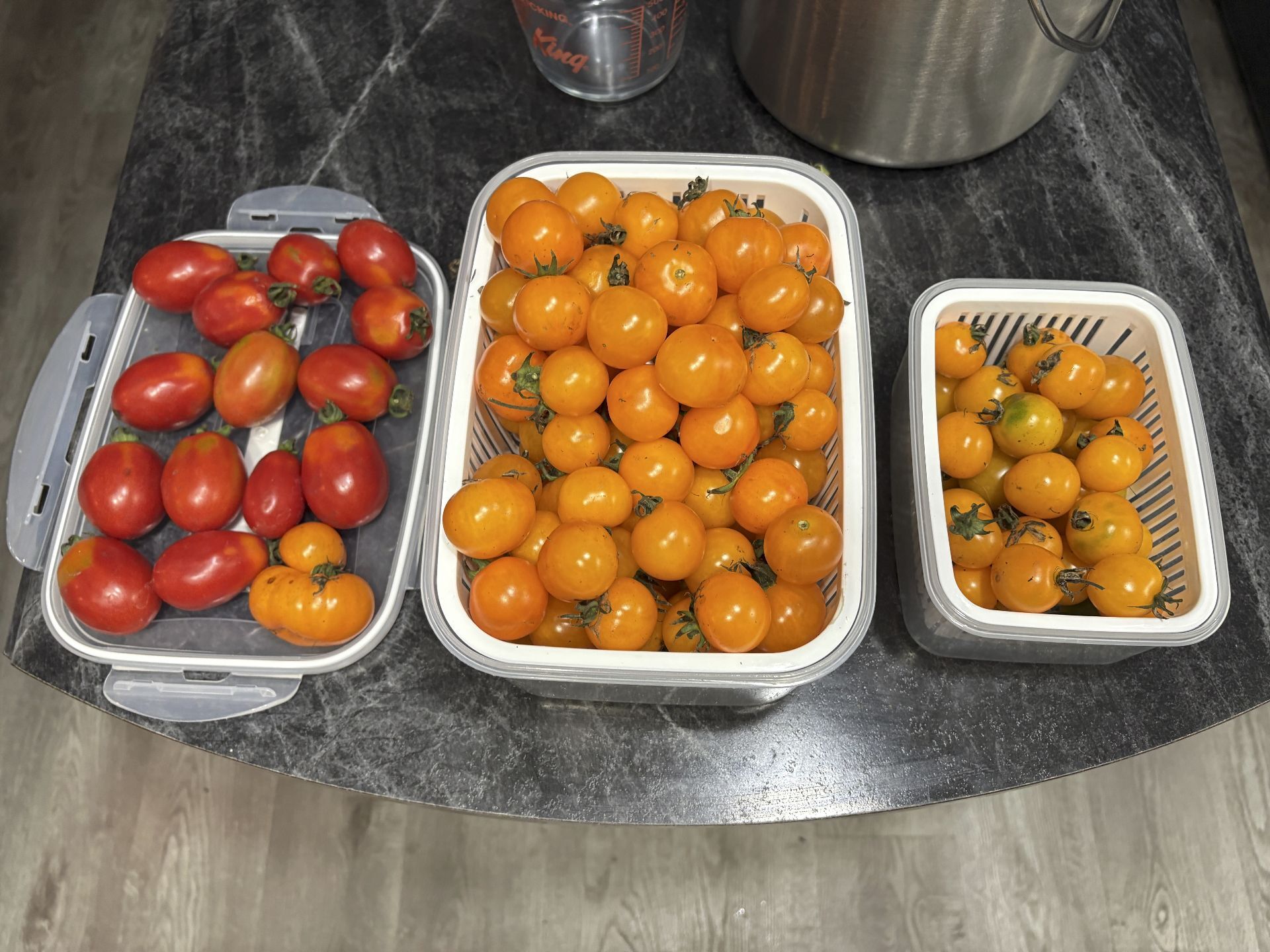 Cherry and paste tomatoes from the greenhouse