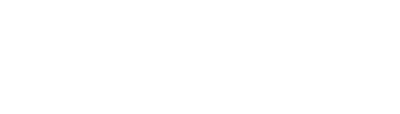 Debbie van der Zande logo