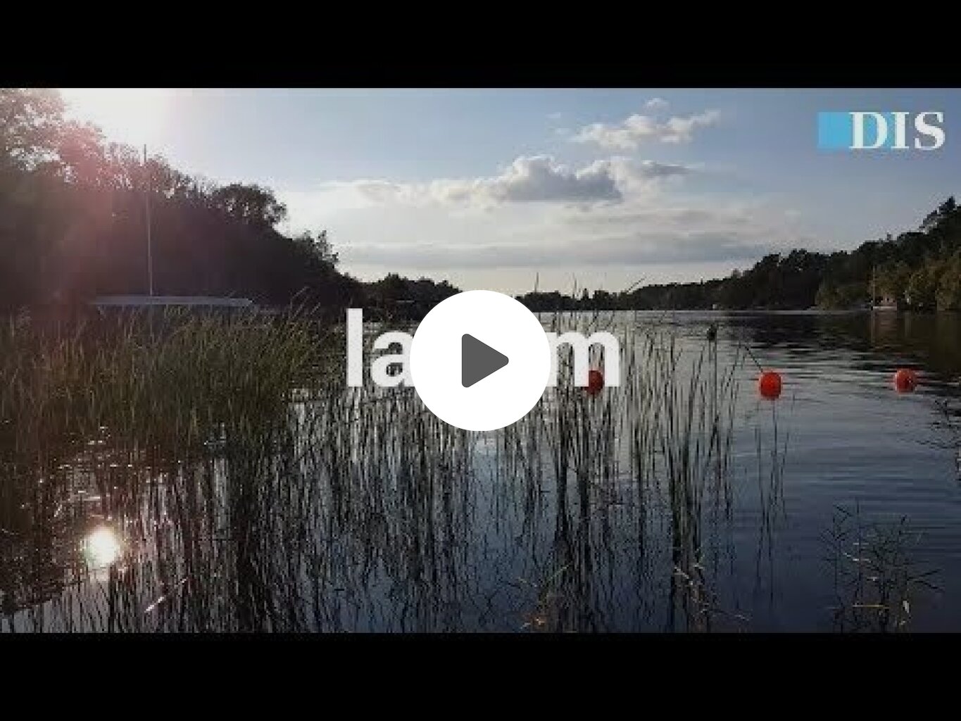 The Swedish Concept of Lagom