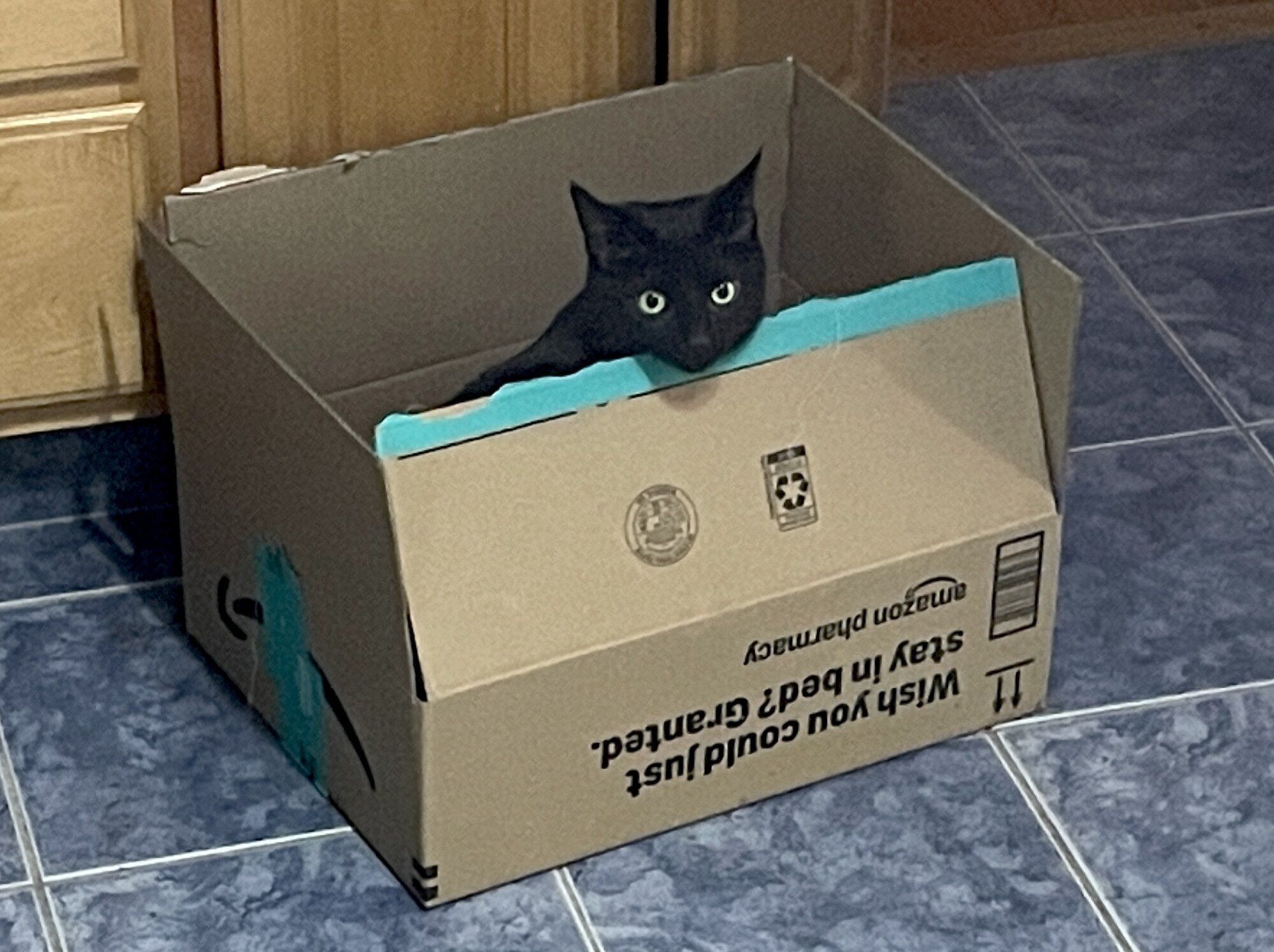 black cat peeking out of a cardboard box on a blue tile floor