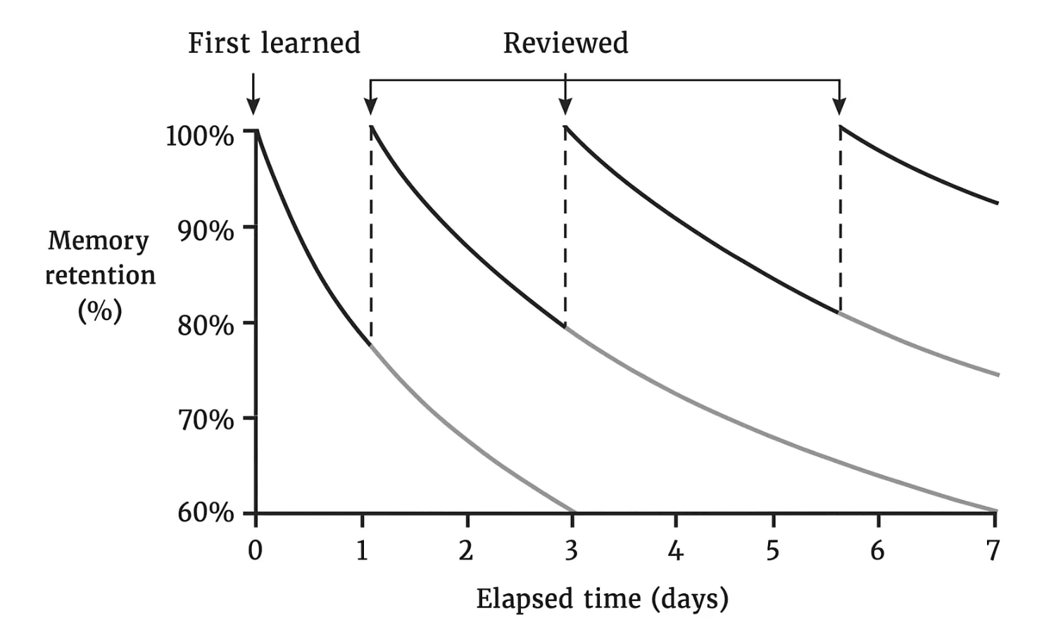 Reading Retention with Spaced Repetition