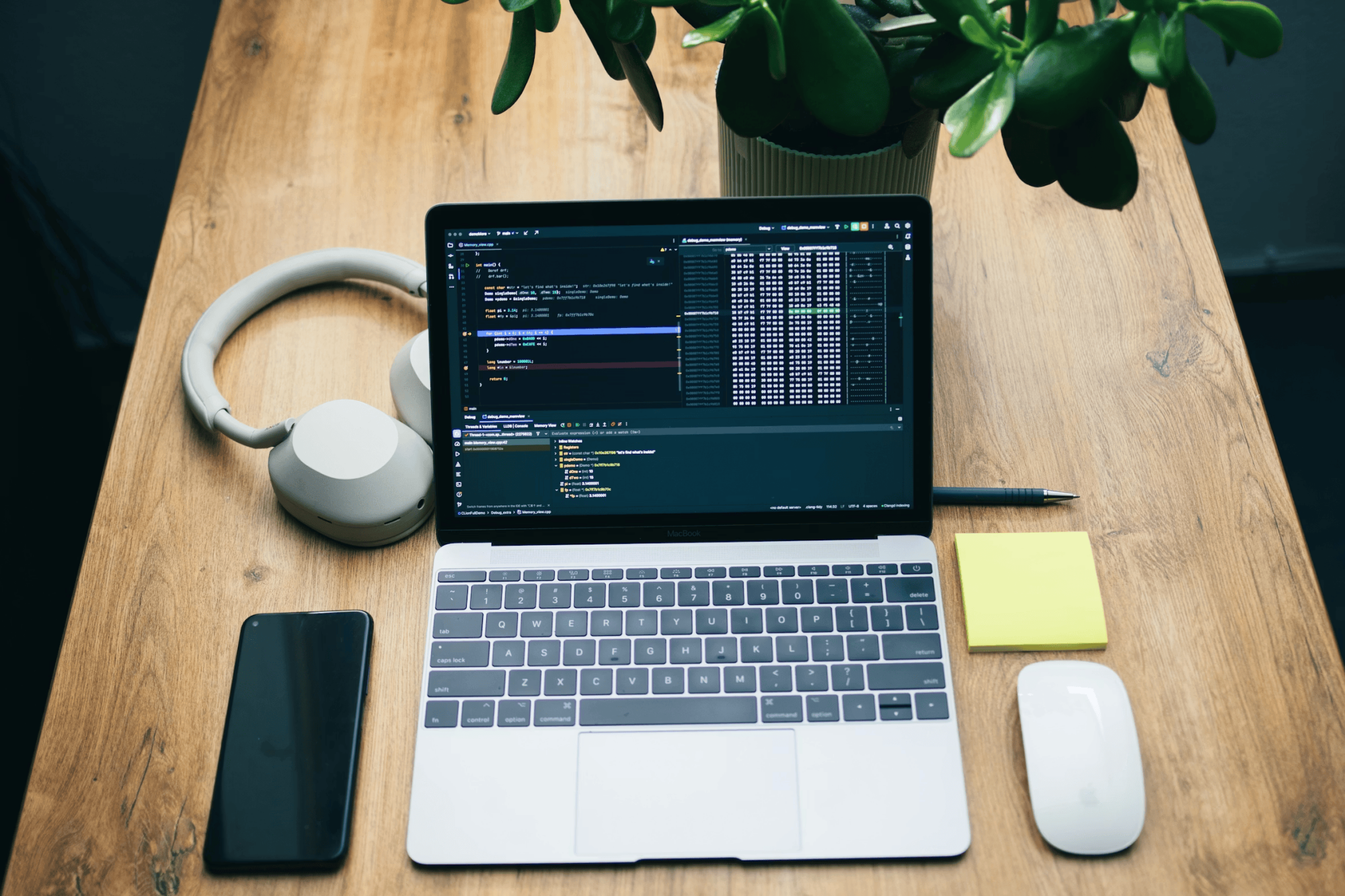 Software Startup Laptop