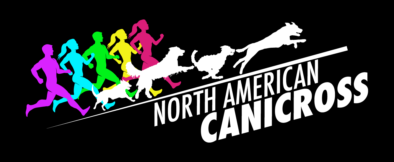 Example logo