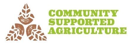 Example Logo