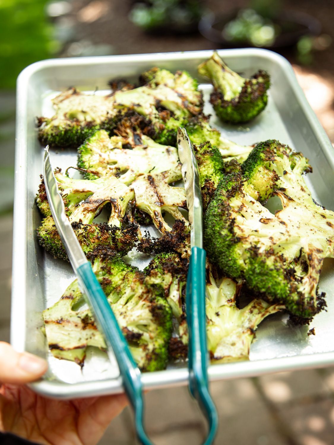 Close-up of a hand holding a baking sheet of freshly grilled broccoli steaks with deep char marks, teal tongs resting on top, with a lush green garden visible in the background.