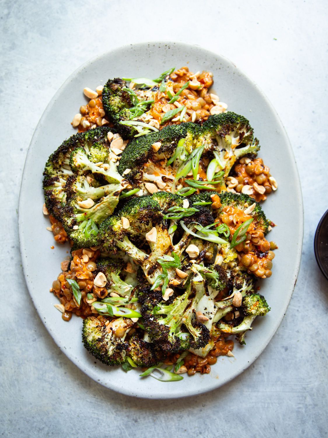 An overhead view of a large oval white speckled platter piled with multiple charred grilled broccoli steaks over saucy peanut lentils, scattered with chopped peanuts and sliced green onions.