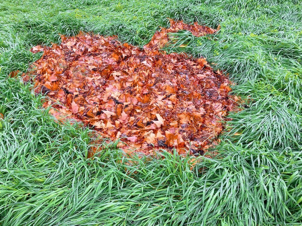 A leaf pile that looks like a pumpkin