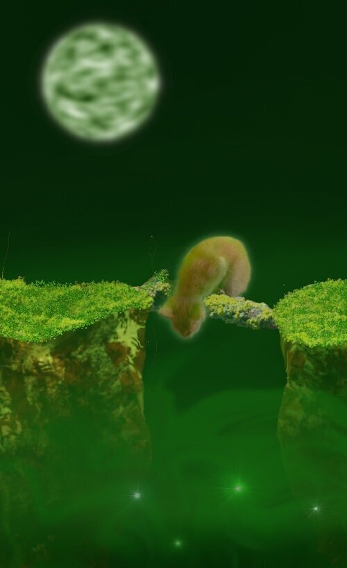 An orange kitten on a log over a chasm looks down