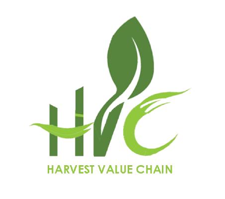 Example logo