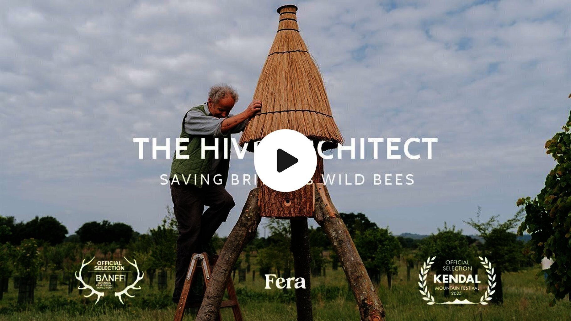 The Hive Architect | Saving Britain's Wild Bees