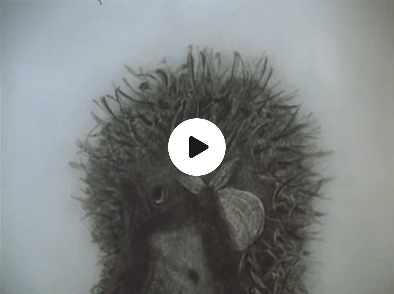 Hedgehog in the Fog - Russian cartoon + english subtitles