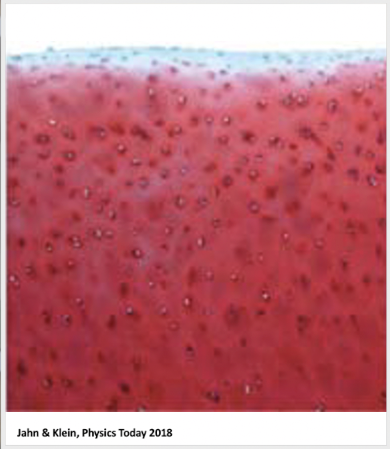 Sitting evolution by Freepik