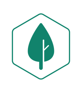 plantnetwork logo - a stylised leaf within a green hexagon
