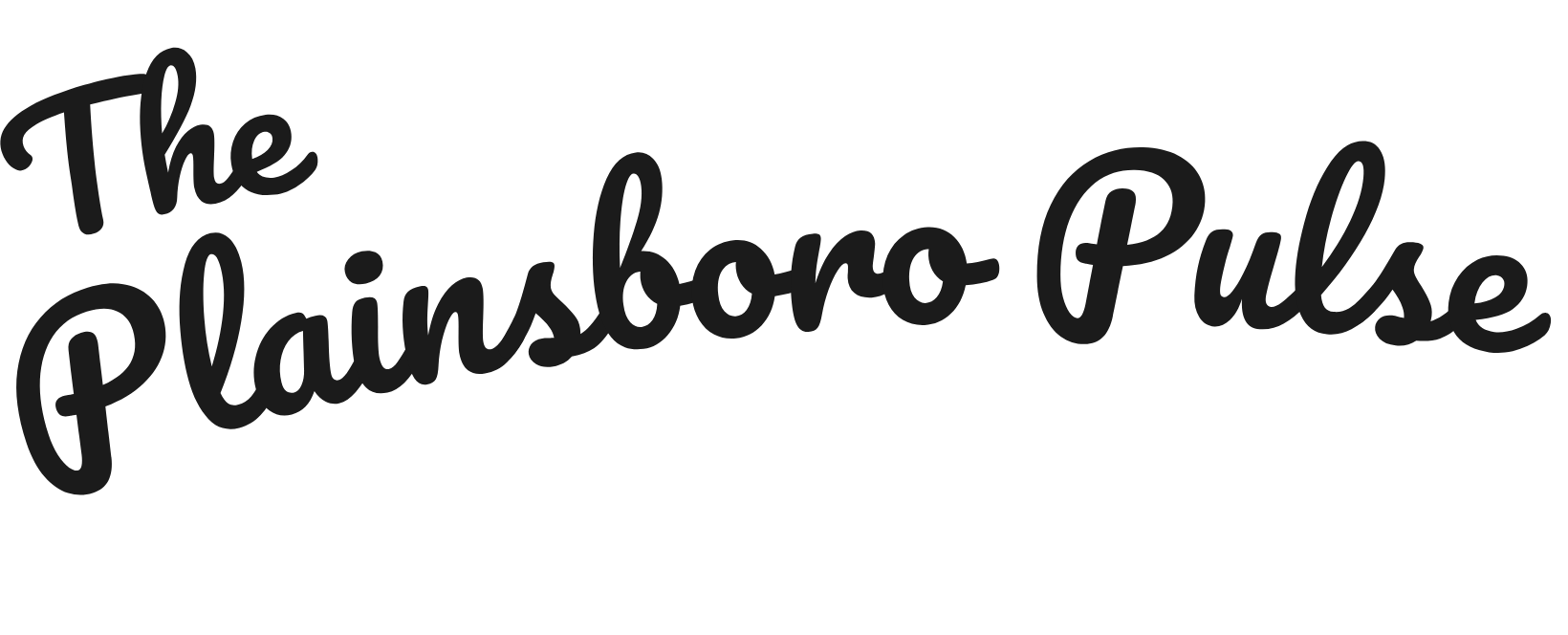 Plainsboro Pulse logo