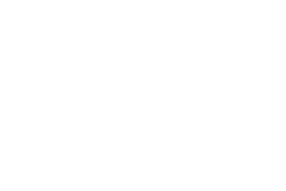 Example logo
