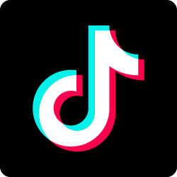tiktok social link